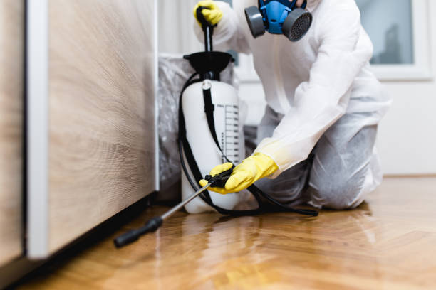 Best Pest Control for Homes  in Corunna, MI