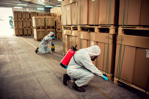 Best Residential Pest Control  in Corunna, MI