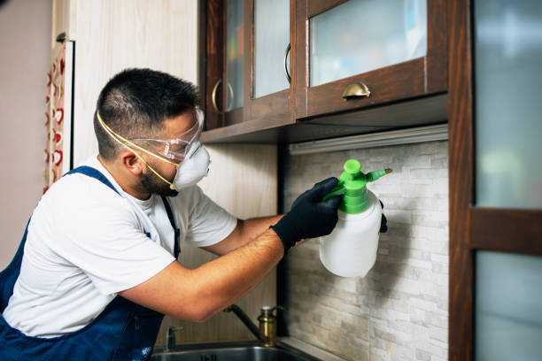 Wildlife Control Services in Corunna, MI