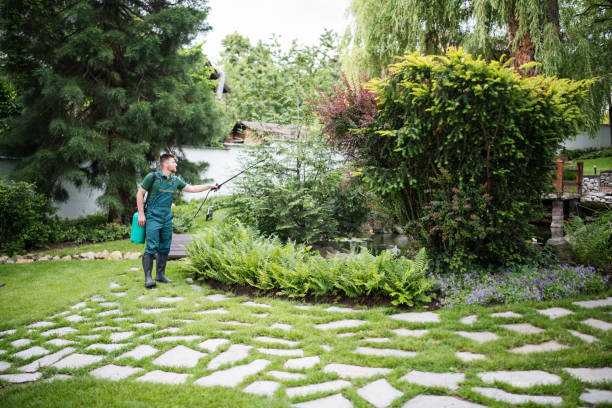 Pest Prevention Services in Corunna, MI