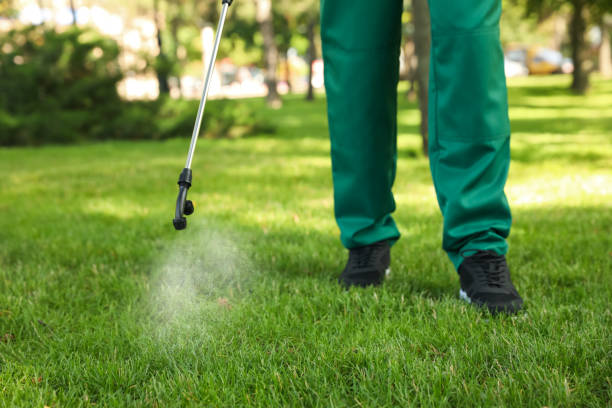 Best Wildlife Control Services  in Corunna, MI