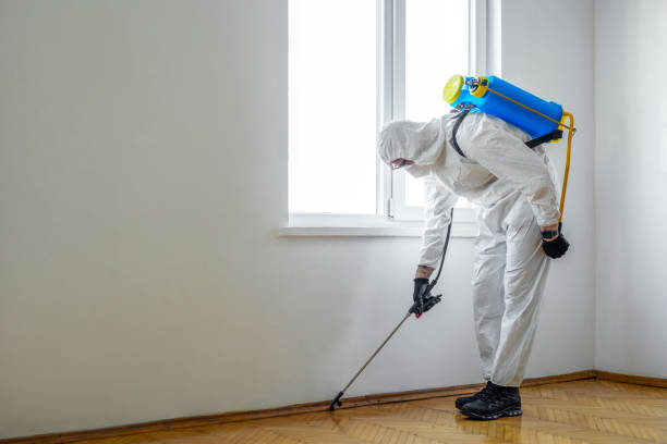 Best Insect Control  in Corunna, MI