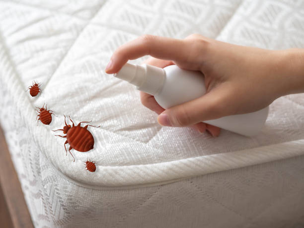 Best Termite Control Services  in Corunna, MI