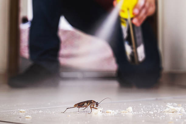 Best Wasp Removal Services  in Corunna, MI