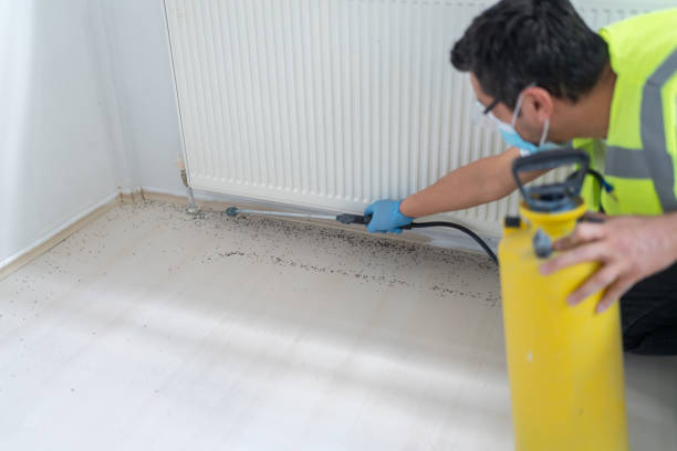 Best Bed Bug Extermination  in Corunna, MI