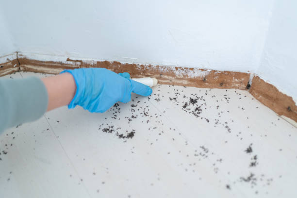 Best Pest Control for Restaurants  in Corunna, MI
