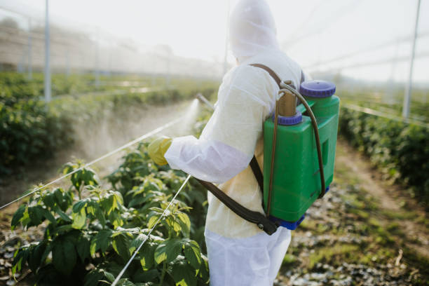 Best Affordable Pest Control Services  in Corunna, MI
